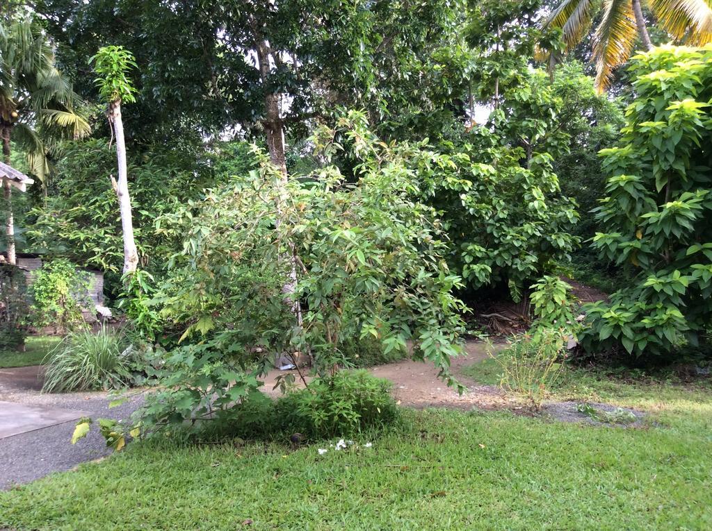 Fern Dale Villa Weligama Oda fotoğraf